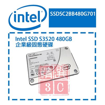 Intel SSD S3520 480GB SSDSC2BB480G701 480G 企業級固態硬碟