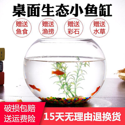 專場:玻璃小魚缸 客廳小型免換水金魚缸 家用龜缸迷你桌面辦公室烏龜缸
