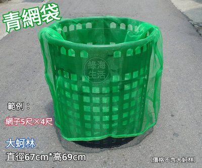 【綠海生活】16目 青網袋( 5尺*4尺,約149*114cm 附繩) 網袋 資源回收袋 防蟲網 保特瓶回收袋 回收網袋
