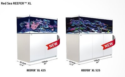 ◎ 水族之森 ◎ 以色列Red Sea 紅海REEFER™ 525 150X57.5X55cm 超白玻璃 套缸組（白色）