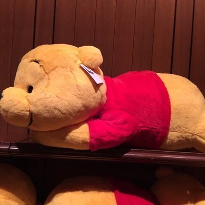 日本 東京迪士尼樂園 樂園限定趴姿棉柔娃 維尼 XL 超大隻 特大 娃娃 小熊維尼 90cm 401160007333