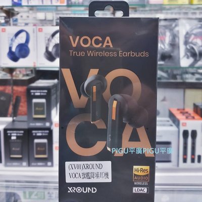 【 平廣 公司貨送袋 XROUND VOCA 降噪 藍芽耳機 耳道式 真無線 台灣英霸保 另售PAMU FORGE