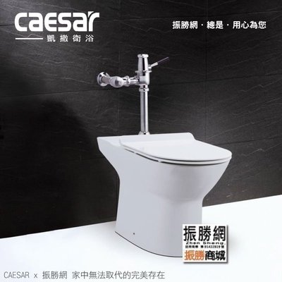 缺貨中，勿下《振勝網》高評價 價格保證 Caesar 凱撒衛浴 CJP1550A 快沖馬桶 / P式壁排