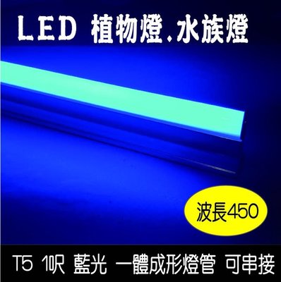 T5 LED 1尺1呎 植物燈 水草燈 波長450nm 一體成型 可串聯 適合多肉 促進光合作用