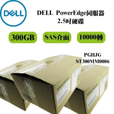 全新 Dell伺服器專用硬碟 ST300MM0006 300G 10K 2.5吋 SAS 0PGHJG PGHJG