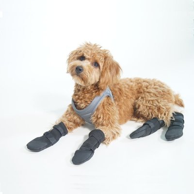 狗狗輪椅專用腳套泰迪犬防滑防臟寵物腳套襪子防抓手大型犬