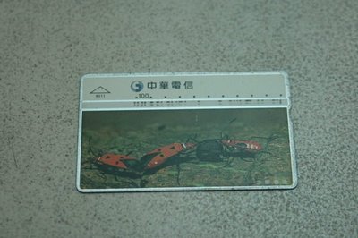 收藏卡,中華電信已使用過的電話卡（舊式，非ＩＣ卡,赤星春象,可面交