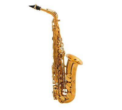 §唐川音樂§【Selmer REFERENCE 54 Alto Saxophone 中音 薩克斯風 】(法國)