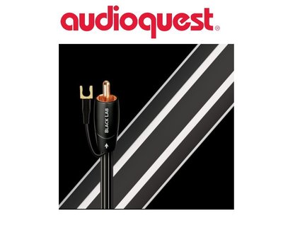 鈞釩音響~美國線聖 Audioquest Black Lab Subwoofer Cable重低音線 3.0m