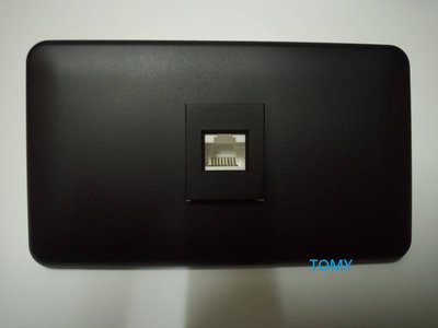 消光黑 平光黑 單座 網路插座(8P8C)+專用面板 CAT.5E 免工具安裝 CAT.6E 電腦 資訊插座 壁插