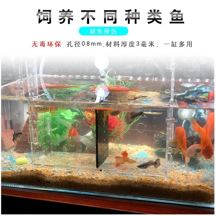 戀物星球亞克力魚缸隔離盒特大號氣動式產卵孵化盒孔雀魚繁殖盒產房小魚苗 Yahoo奇摩拍賣