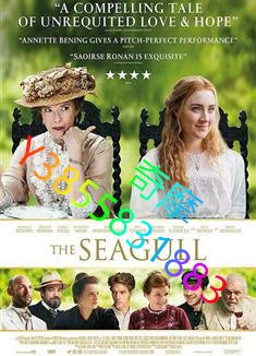 DVD 專賣店 海鷗/The Seagull