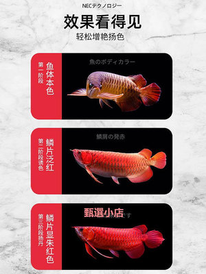 精品日本NEC魚缸燈龍魚專用燈潛水烤色燈龍魚發色燈6700K紅龍魚增艷燈