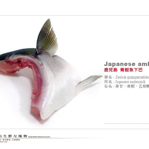 盅龐水產 青魽 青甘下巴 日本製鰤魚下巴150 200g 片零 195 片歡迎團購批發燒烤聚會 首賣 痞客邦