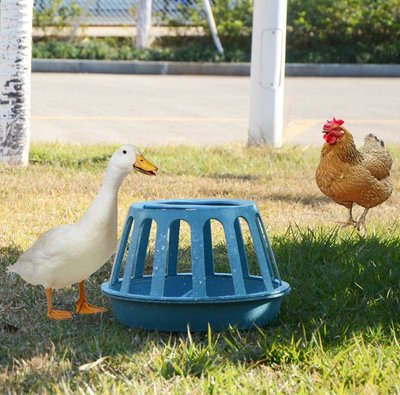 養殖雞食槽水槽食槽飲食器料桶雞鴨鵝自動料筒喂食器喂~特價