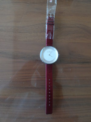 SKAGEN丹麥設計品牌超薄簡約風大錶面女腕錶