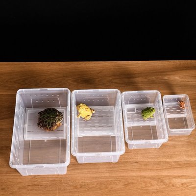 特價角蛙飼養盒專用兩棲飼養箱烏龜飼養盒蝎子蜈蚣帶曬臺爬寵飼養盒