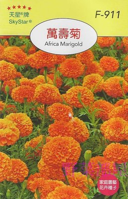 【野菜部屋~】Y70 萬壽菊Africa Marigold~天星牌原包裝種子~每包17元~