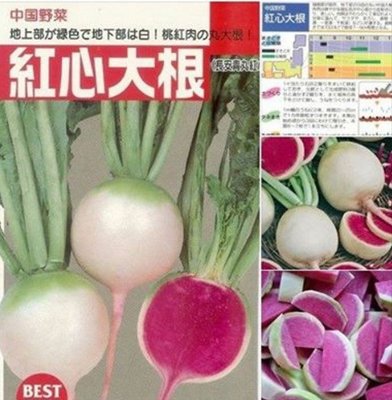 日本西瓜蘿蔔種子200粒50元