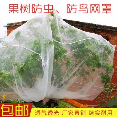 促銷打折 植物防蟲網罩櫻桃楊梅果樹防蟲防鳥網套蔬菜水果防果蠅套袋網紗網