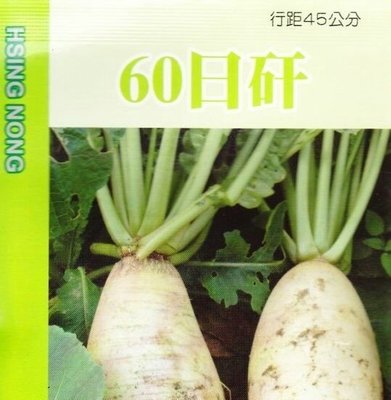 蘿蔔 (60日矸) 白蘿蔔 【蘿蔔類種子】興農牌中包裝 每包約6ml