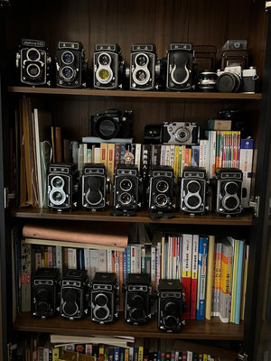 海鷗、牡丹雙反相機，雙反機械照相機，120膠卷相機，屏拍相機