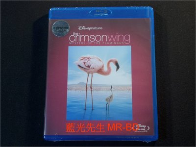 [藍光BD] - 紅色羽翼 : 火鶴之謎 Crimson Wing: Mystery Of The Flamingos