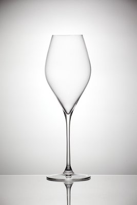 ☆波西米亞人☆斯洛伐克RONA 專業酒杯SWAN天鵝系列 葡萄酒杯 430ml