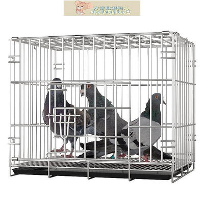 鳥籠鴿子籠大空間繁殖籠鳥籠鴿子籠子不銹鋼色大號加密配對家用養殖籠-大笨鼠商店