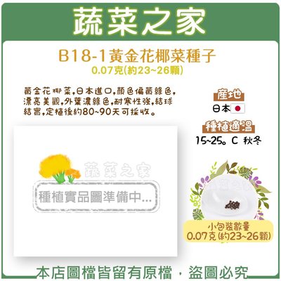 【蔬菜之家滿額免運】B18-1.黃金花椰菜種子0.07克(約23~26顆)(黃金花椰菜 ，日本進口，顏色偏黃綠色)