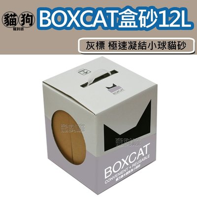 寵到底-【兩盒免運專區】國際貓家BOXCAT貓砂-灰標 極速凝結小球貓砂12L