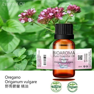 【純露工坊】野馬鬱蘭(牛至)精油Oregano - Origanum vulgare 10ml