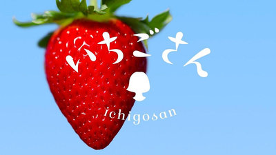 正統日本草莓種子. 佐賀草莓小姐草莓   (いちごさん*いちご)　***草莓種子12粒/袋