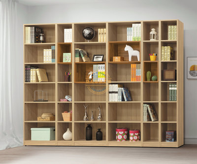 ☆[新荷傢俱]☆23E 700 北歐雙色6尺書櫃 (可拆買1尺書櫃/2尺書櫃) 立櫃 書架 展示櫃