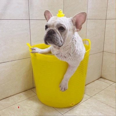 狗狗洗澡桶貓咪浴盆寵物spa浴缸泰迪法斗小狗小型犬用沖涼泡澡桶-雙喜生活館