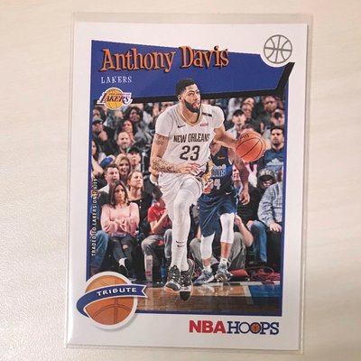 NBA球員卡 洛杉磯湖人隊Anthony Davis 2019~2020 panini hoops