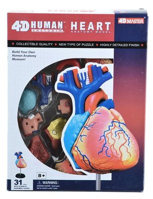 4D Master 心臟 模型 人體 器官 解剖 模型 教具 器材~ 萬能百貨