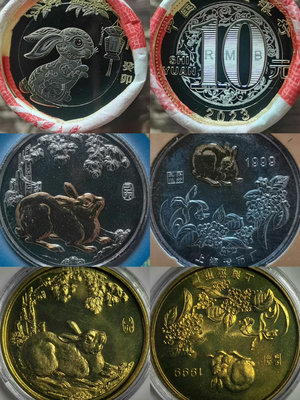 兔年紀念幣1999年上海造幣廠生肖兔共和花錢4635