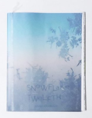 川內倫子寫真集 限量500冊 SNOW FLAKE TWELFTH 清新日系攝影 D