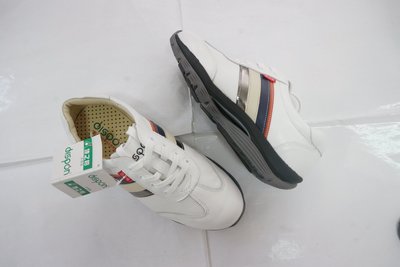 ☆地之柏- R420台灣製造 真皮氣墊 美姿健走鞋 機能健美休閒運動鞋 (特價) 白 男款 39~44號