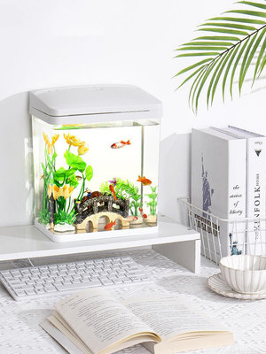 亞克力魚缸客廳小型桌面金魚缸免換水水族箱超白透明生態缸烏龜缸