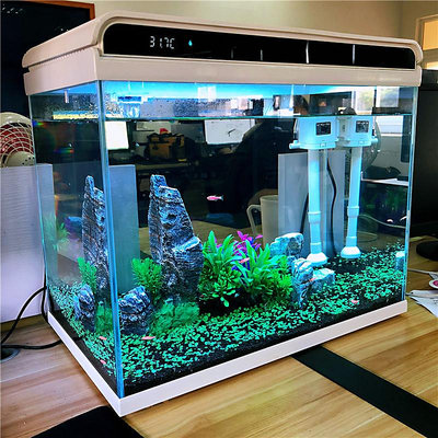 HE480超白玻璃魚缸客廳 小型家用生態免換水桌面中型金魚缸