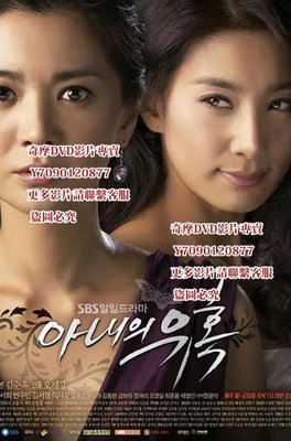 DVD 妻子的誘惑 2008年 國語版 韓劇