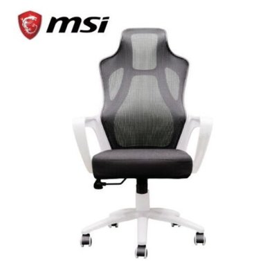 電競神兵 辦公也型 微星MSI PH110 龍魂工學椅 電競椅 白龍網椅 全新未拆未使用