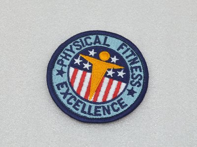 收藏品 美國USARMY 體能優異/Physical Fitness Excellence徽章