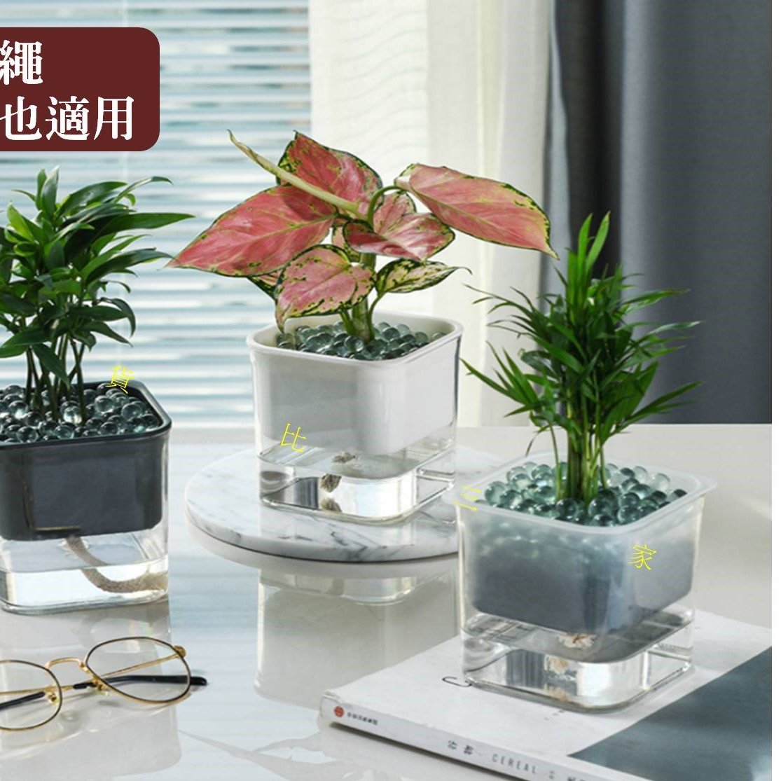 【低価新作】LOCKFIELD EQUIPMENT×鶴仙園の植物鉢 観葉植物