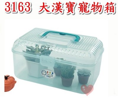《用心生活館》台灣製造 大漢寶寵物箱 三色系 尺寸24.4*15.5*12.8cm 收納整理 3163
