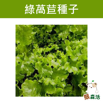 ～全館滿790免運～綠萵苣(生菜)Lettuce 種子 25公克 萵苣【熊森活】
