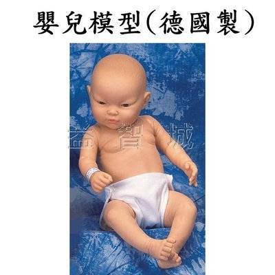 益智城新館《沐浴娃娃/教學模型/嬰兒沐浴教學示範模型/初生兒模型》德國製嬰兒模型/新生兒模型(可選擇男嬰兒或女嬰兒)