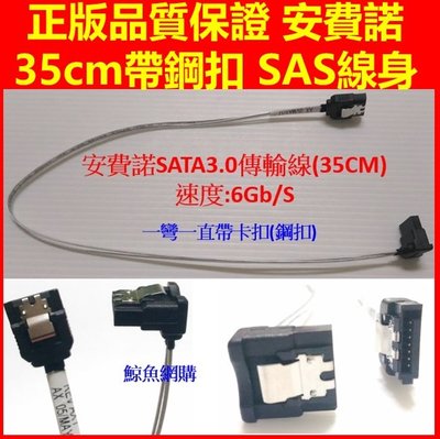 (現貨)正版保證 安費諾 35cm帶鋼扣 Amphenol SATA3 排線傳輸線 Support 6Gb SAS線身